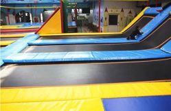 -爱丽丝奇幻乐园