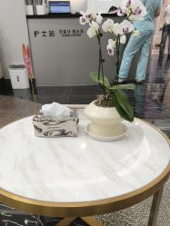 -上海首尔丽格医疗美容医院