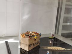 -光作面包Voila Lumiere(中山店)