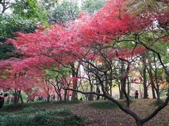 -汇龙潭