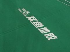 -翔龙双鱼篮球馆