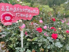 -人民公园(罗湖区)