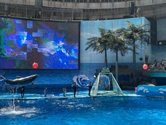 -海合安成都极地海洋公园