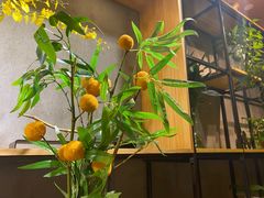 -致明德素食餐厅(土屋路店)