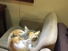 -看书吧(体育东横路店)