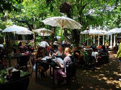 -Fern Forest Cafe