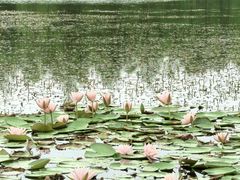 -白鹭湾湿地公园