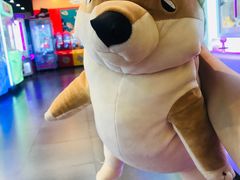 -PAWTOY爪e玩偶店(天兴罗斯福店)