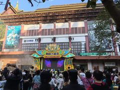 -西双版纳原始森林公园