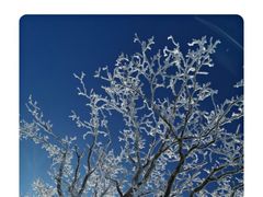 -亚布力新体委滑雪场