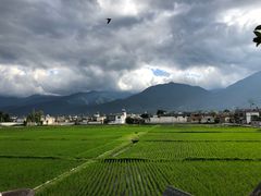 -喜林苑·稻田餐厅(品相府店)