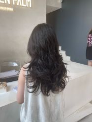 点击看大图 -金棕榈