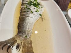 清蒸白水鱼-宋园·金宴浙鲜馆(静安店)