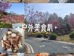 -长乐南山公园