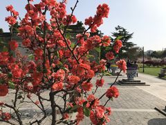 -荆川公园
