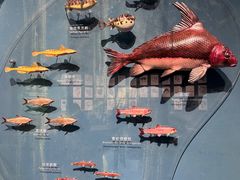 -中国湿地博物馆