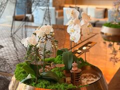 -北京康莱德酒店-Chapter餐厅