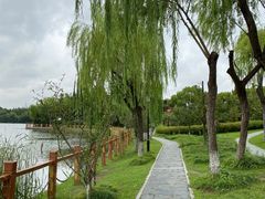 -黄兴公园