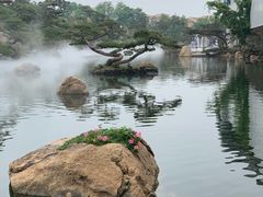 -罗红摄影艺术馆