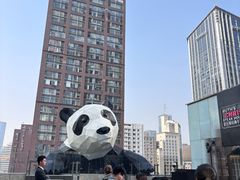 -雍容荟帝王蟹活龙虾展台自助(IFS黑金店)