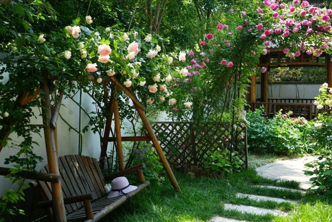 想有个这样的小院,坐看庭前花开花落,享岁月静