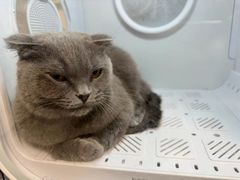 -pd派德宠物中心医院24H急重症·眼科中心·血液透析中心(嵩山北路店)