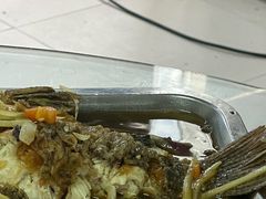 -新湖烧鸡(光明店)