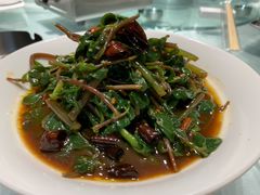 凉拌马子汗-谢氏老金口(江夏武昌大道店)