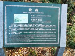-紫金山山顶公园