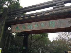 -天目湖山水园