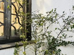 -青果巷历史文化街区