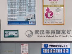 -伟伟宠物医院·瑞派猫友好医院·猫科(光谷店)