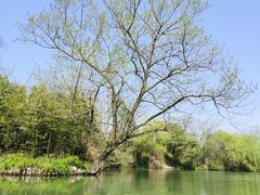 -西溪国家湿地公园