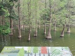 -广州市白云山风景名胜区