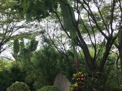 -深圳国际园林花卉博览园