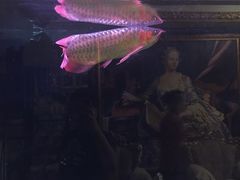 -万宝海鲜舫(劳动公园店)
