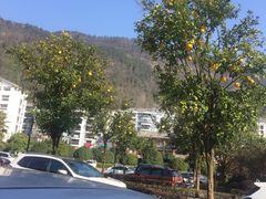 -张家界青和锦江国际酒店