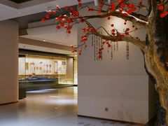 -安阳博物馆