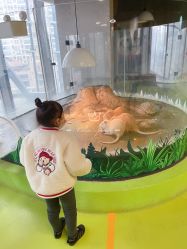 -七巧国萌宠乐园(龙湖天街店)