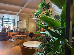 -Wagas沃歌斯(枫蓝国际店)