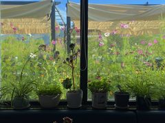 -玫瑰西餐厅.意面披萨.牛排咖啡