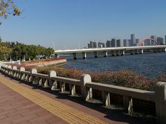 -五缘湾湿地公园