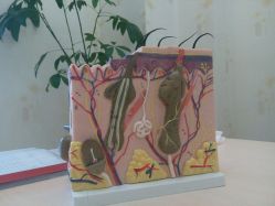 -成都苗方清颜专业祛痘