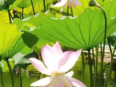 -烈士陵园(地铁站)