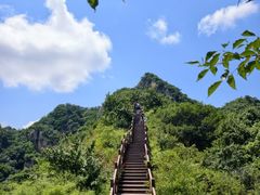 -大岭沟猕猴桃谷风景区
