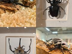 -长沙友阿奥特莱斯