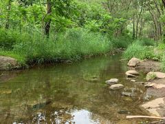 -碓臼峪自然风景区