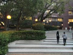 -香港大学