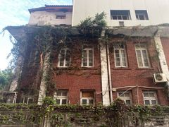 -溪岸路花鸟市场