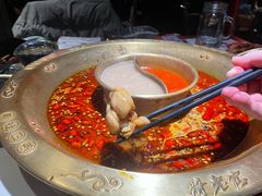 -新哥老官·畅吃123·美蛙世界(苏宁广场店)